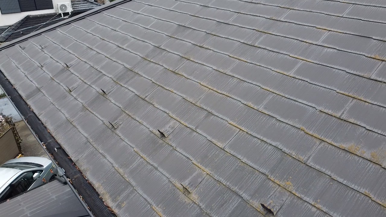 苔が付着したスレート屋根